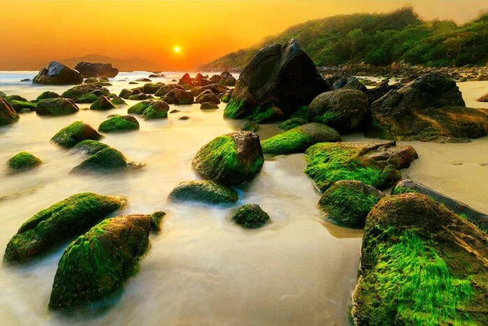 đà nẵng có gì đẹp